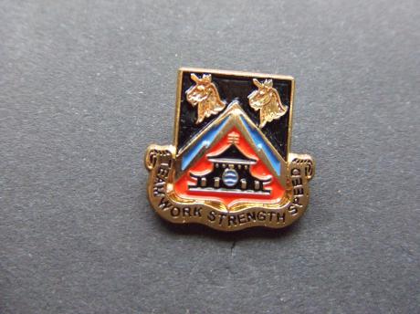 43rd Signal Battalion Rare 'Teamwork Strength Speed'